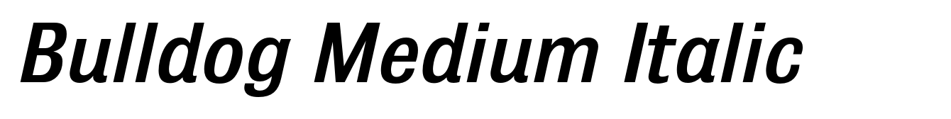 Bulldog Medium Italic